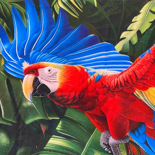 Serviette Tropical Macaw Beach colorée