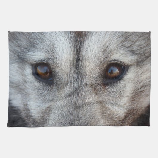 Serviette Wolf Pup Wild Husky Chien Serviette thé (Horizontal)