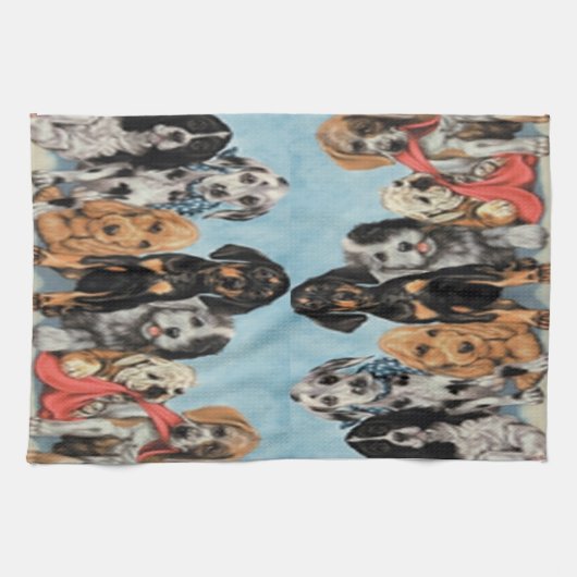 Serviettes de cuisine (Horizontal)