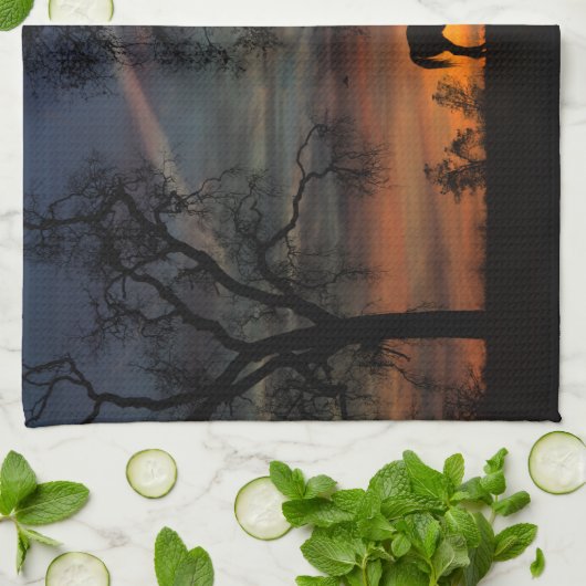 Serviettes de cuisine (Plié)