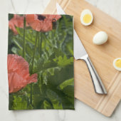 Serviettes de cuisine (Quart Plié)