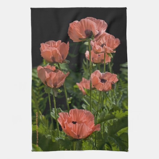 Serviettes de cuisine (Vertical)