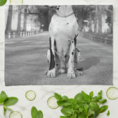 Serviettes De Cuisine Dane (Plié)