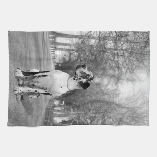 Serviettes De Cuisine Dane (Horizontal)