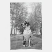 Serviettes De Cuisine Dane (Vertical)