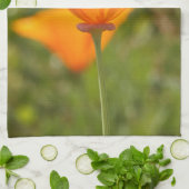 Serviettes de cuisine de pavot de Californie (Plié)