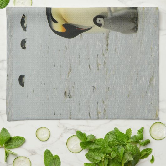 Serviettes de cuisine pingouins (Plié)