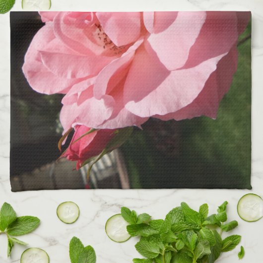 Serviettes de cuisine rose (Plié)