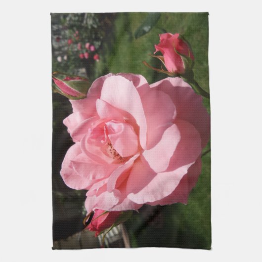 Serviettes de cuisine rose (Vertical)