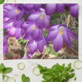 Serviettes de cuisine violet (Plié)