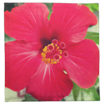 Fleur rouge d'Hibiscus Rosa-sinensis