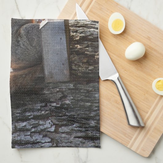 Serviettes d'écureuil (Quart Plié)