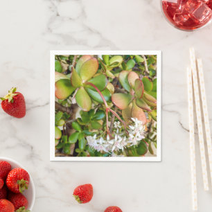 Serviettes en papier Crassula ovata
