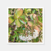 Serviettes en papier Crassula ovata (Devant)
