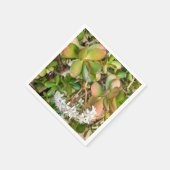 Serviettes en papier Crassula ovata (Coin)