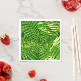 Serviettes en papier de fougères de bois