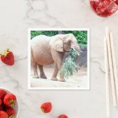 serviettes en papier éléphant (En situation)