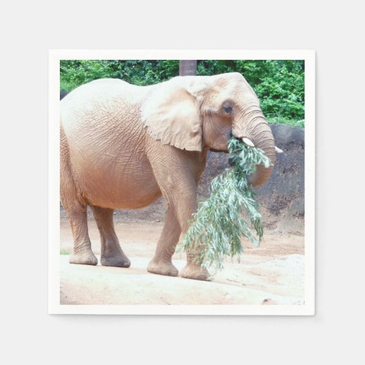 serviettes en papier éléphant (Devant)