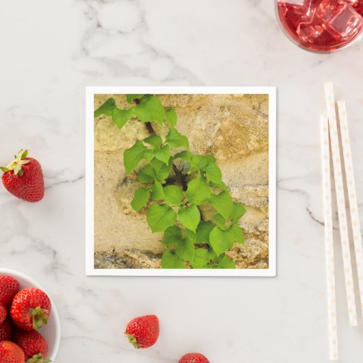 Serviettes en papier Hydrangea petiolaris (En situation)