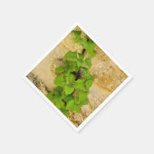 Serviettes en papier Hydrangea petiolaris (Coin)