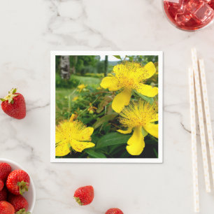 serviettes en papier Hypericum calycinum