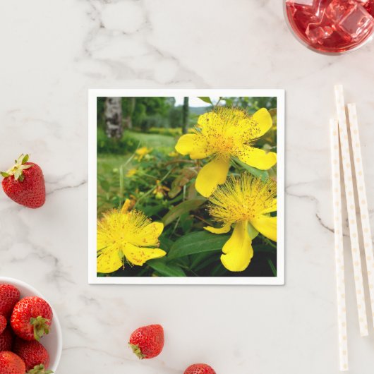serviettes en papier Hypericum calycinum (En situation)