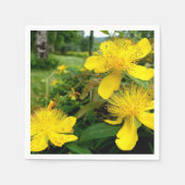 serviettes en papier Hypericum calycinum (Devant)