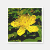 serviettes en papier Hypericum calycinum (Devant)