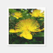 serviettes en papier Hypericum calycinum (Devant)