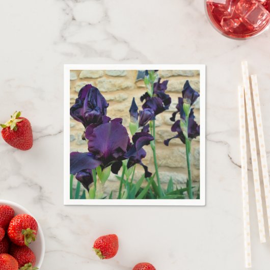 Serviettes En Papier Iris Pâtés (En situation)