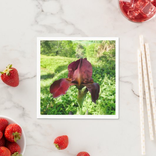 Serviettes En Papier Iris Pâtés (En situation)