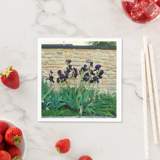 Serviettes En Papier Iris Pâtés (En situation)