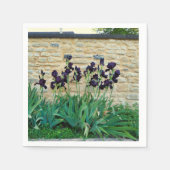 Serviettes En Papier Iris Pâtés (Devant)