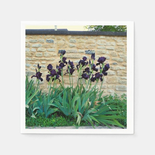 Serviettes En Papier Iris Pâtés (Devant)