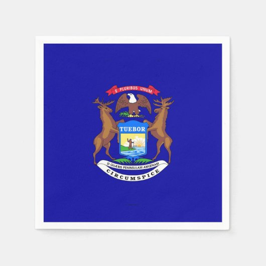 Serviettes en papier patriotique avec drapeau du M (Devant)