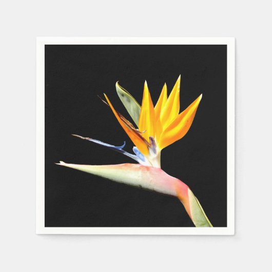 Serviettes en papier Plante Bird of Paradise (Devant)