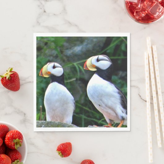 Serviettes en papier pour le déjeuner standard ave (En situation)