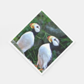 Serviettes en papier pour le déjeuner standard ave (Coin)