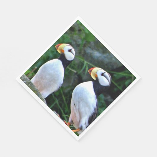 Serviettes en papier pour le déjeuner standard ave (Coin)