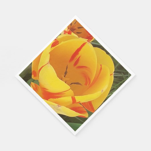 Serviettes en papier pour tulipes à ressort (Coin)