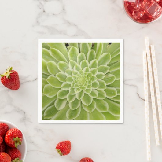 Serviettes en papier succulentes (En situation)