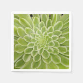 Serviettes en papier succulentes (Devant)