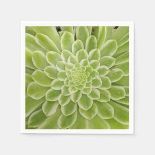 Serviettes en papier succulentes