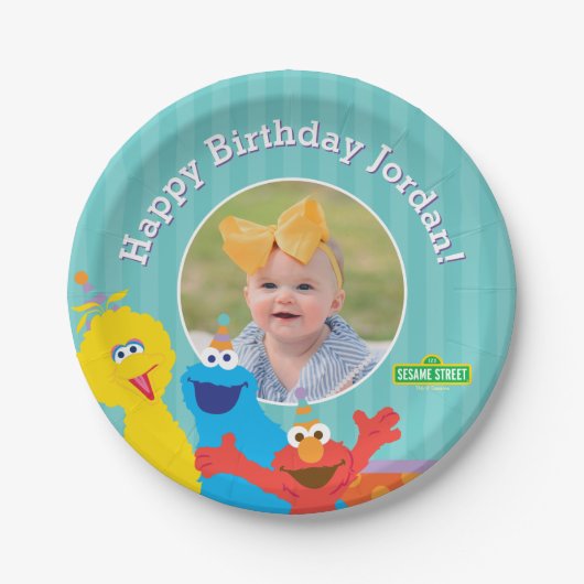 Sesame Pals Birthday Patroon Papieren Bordje (Voorkant)
