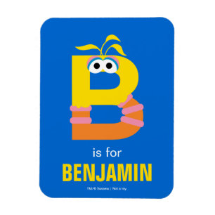 Sesame Street B is voor Big Bird Magneet