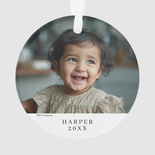 Sesame Street Character Faces Pattern (dos)