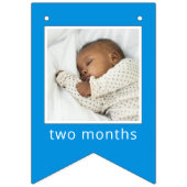 Sesame Street Characters & Street Sign Vlaggetjes (Tweede vlag)