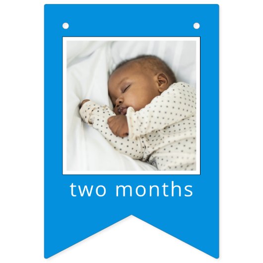 Sesame Street Characters & Street Sign Vlaggetjes (Tweede vlag)