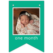 Sesame Street Characters & Street Sign Vlaggetjes (Eerste vlag)