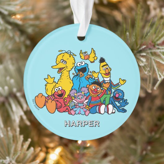 Sesame Street Pals | Customized Name & Photo Ornament (Boom)
